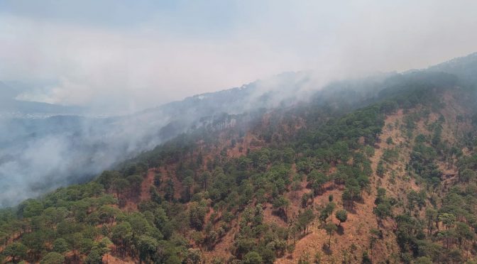 Gem Por Tierra Y Aire Atienden Incendio Forestal En Cerro De La Cruz